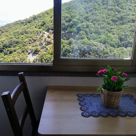 Casa Di Gaia Apartment Sassetta Bagian luar foto