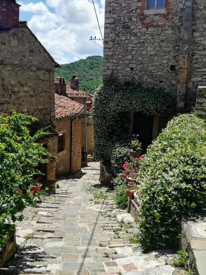 Casa Di Gaia Apartment Sassetta Bagian luar foto